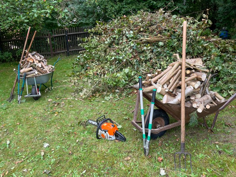 Efficient Leaf Clearing