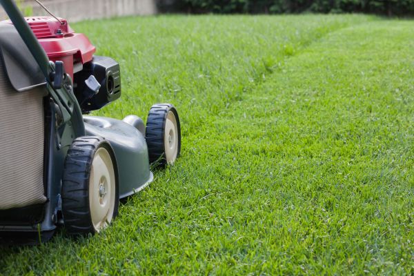 Residential Lawn Care in Bountiful
