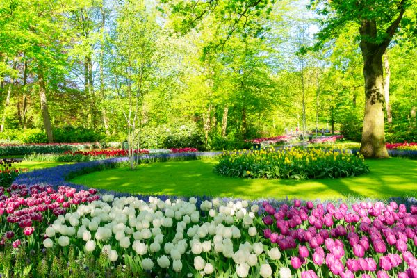 Spring Lawn Care in Bountiful