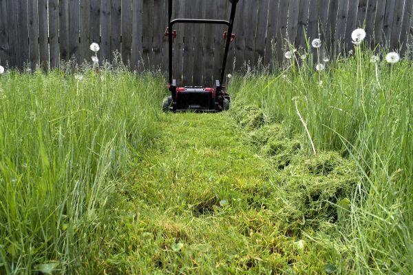 High Grass Mowing in Bountiful