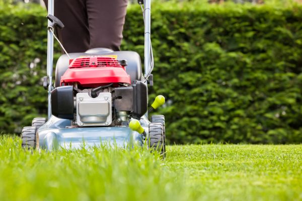 Grass Trimming Service in Bountiful