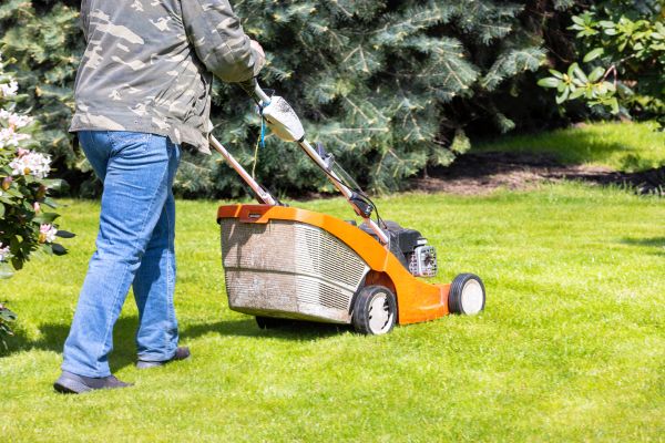 Springtime Lawn Care in Bountiful